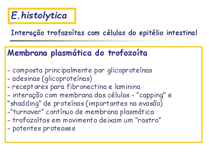 E. histolytica Interação trofozoítas com células do epitélio intestinal Membrana plasmática do trofozoíta -