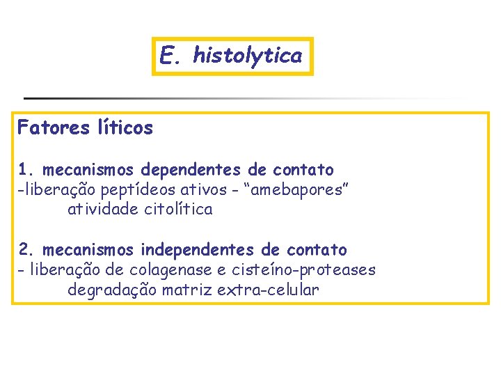 E. histolytica Fatores líticos 1. mecanismos dependentes de contato -liberação peptídeos ativos - “amebapores”