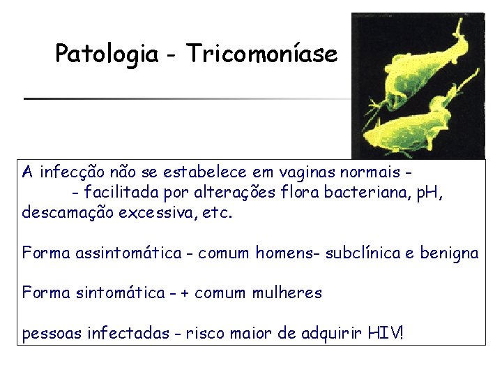 Patologia - Tricomoníase A infecção não se estabelece em vaginas normais - facilitada por