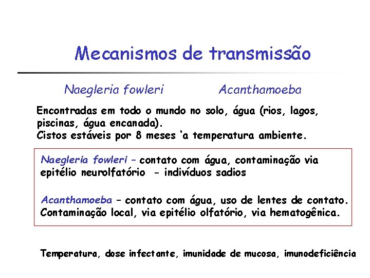 Mecanismos de transmissão Naegleria fowleri Acanthamoeba Encontradas em todo o mundo no solo, água