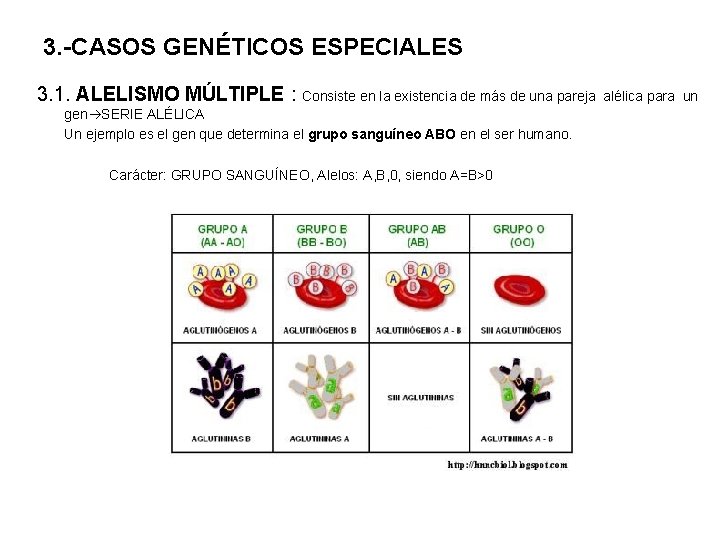 3. -CASOS GENÉTICOS ESPECIALES 3. 1. ALELISMO MÚLTIPLE : Consiste en la existencia de