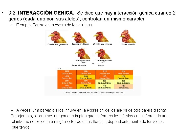  • 3. 2. INTERACCIÓN GÉNICA: Se dice que hay interacción génica cuando 2