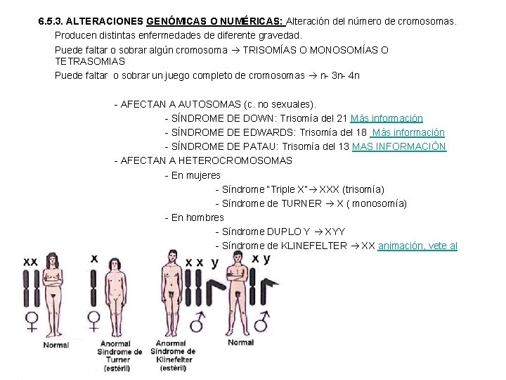 6. 5. 3. ALTERACIONES GENÓMICAS O NUMÉRICAS: Alteración del número de cromosomas. Producen distintas