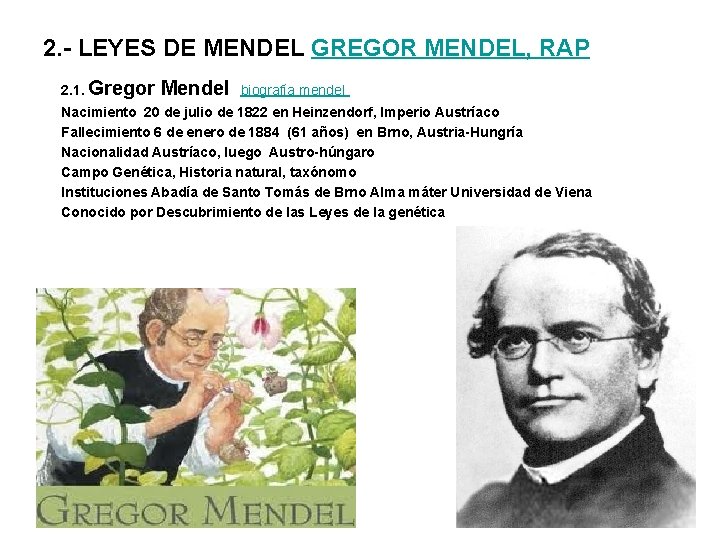 2. - LEYES DE MENDEL GREGOR MENDEL, RAP 2. 1. Gregor Mendel biografía mendel