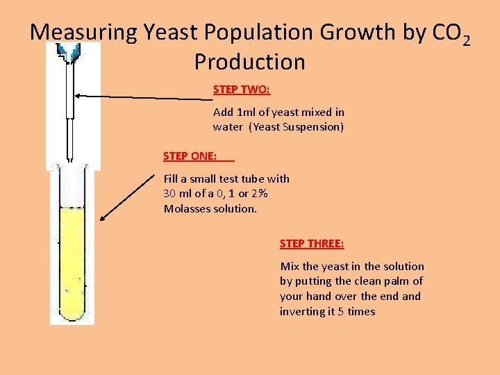 Measuring Yeast Population Growth by CO 2 Production STEP TWO: Add 1 ml of