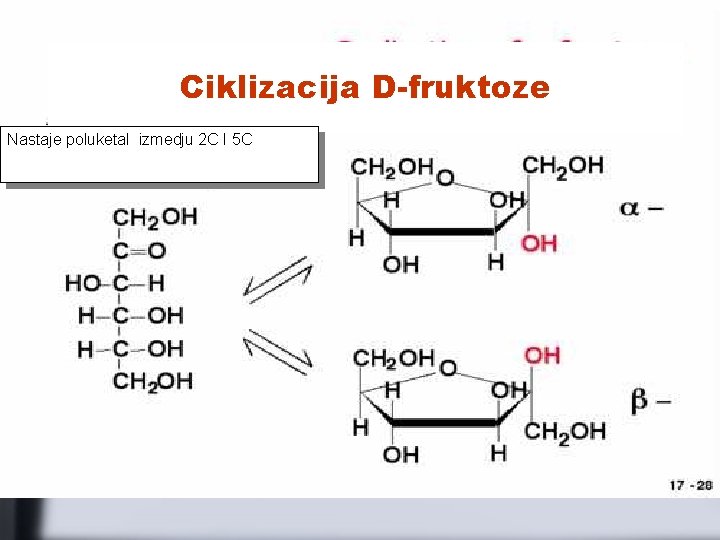 Ciklizacija D-fruktoze Nastaje poluketal izmedju 2 C I 5 C 