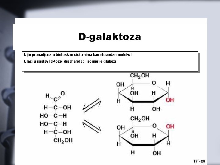 D-galaktoza Nije pronadjena u bioloskim sistemima kao slobodan molekul: Ulazi u sastav laktoze -disaharida