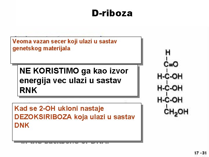 D-riboza Veoma vazan secer koji ulazi u sastav genetskog materijala NE KORISTIMO ga kao