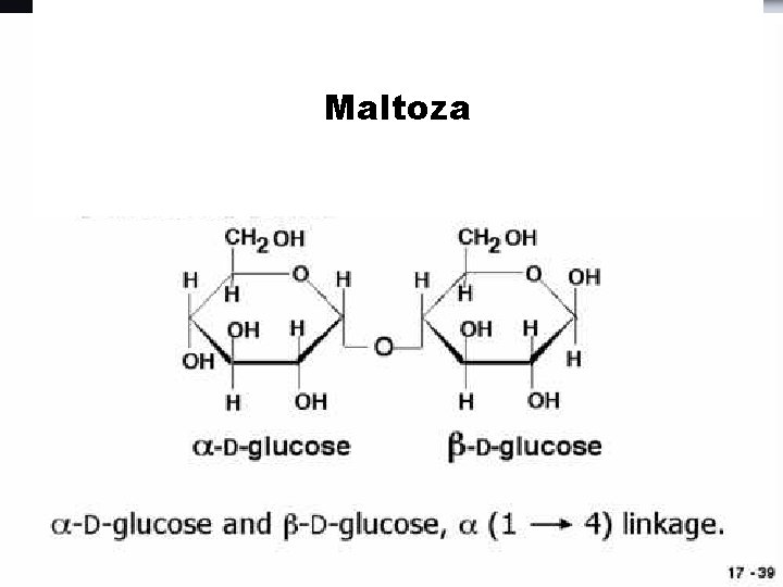 Maltoza 