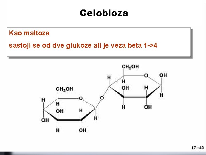 Celobioza Kao maltoza sastoji se od dve glukoze ali je veza beta 1 ->4