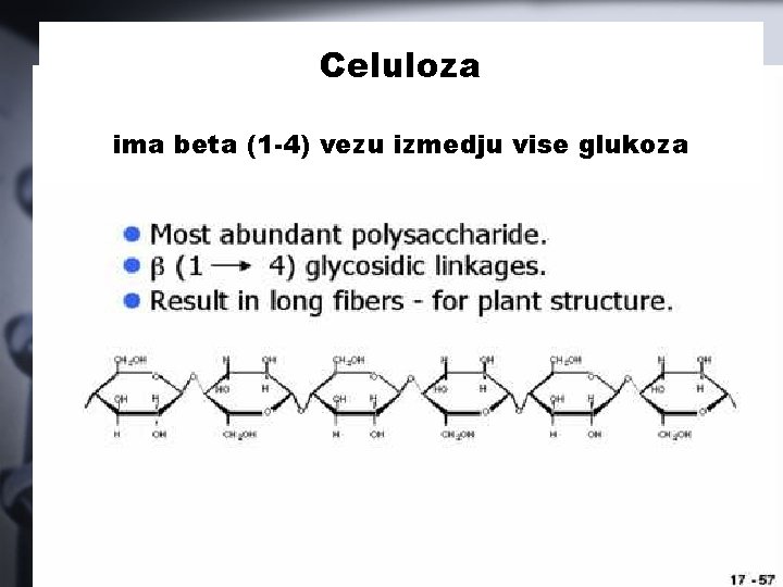 Celuloza ima beta (1 -4) vezu izmedju vise glukoza 