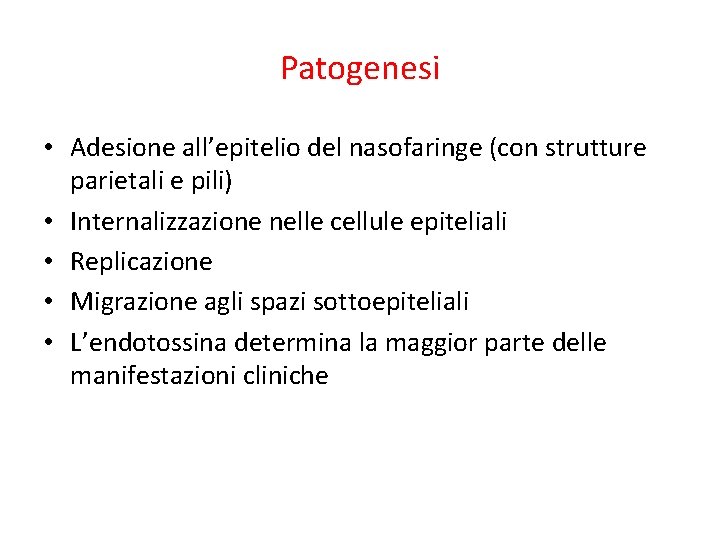 Patogenesi • Adesione all’epitelio del nasofaringe (con strutture parietali e pili) • Internalizzazione nelle