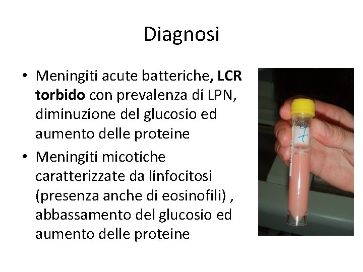 Diagnosi • Meningiti acute batteriche, LCR torbido con prevalenza di LPN, diminuzione del glucosio