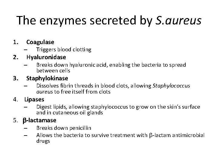 The enzymes secreted by S. aureus 1. 2. 3. Coagulase – Triggers blood clotting