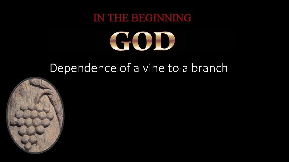 IN THE BEGINNING Dependence of a vine to a branch 