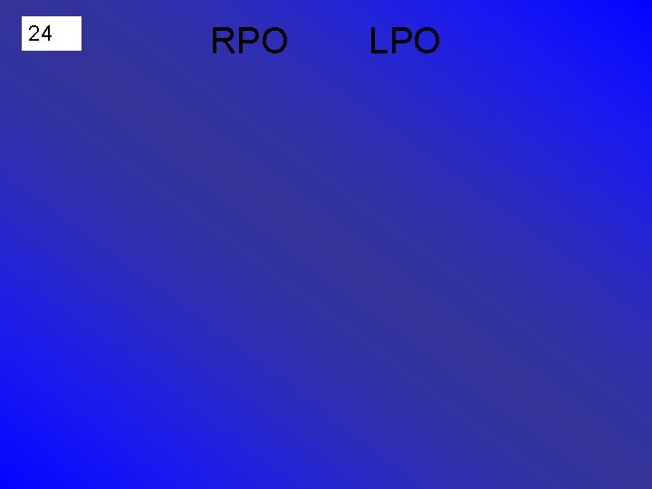 24 RPO LPO 