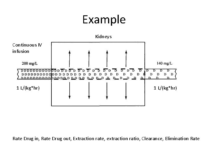 Example Kidneys Continuous IV infusion 1 L/(kg*hr) Rate Drug in, Rate Drug out, Extraction