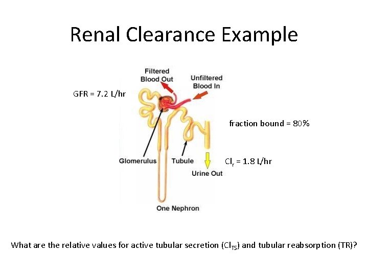 Renal Clearance Example GFR = 7. 2 L/hr fraction bound = 80% Clr =