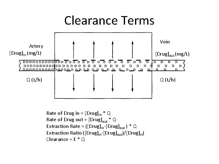 Clearance Terms Vein Artery [Drug]in (mg/L) [Drug]out (mg/L) Q (L/h) Rate of Drug in