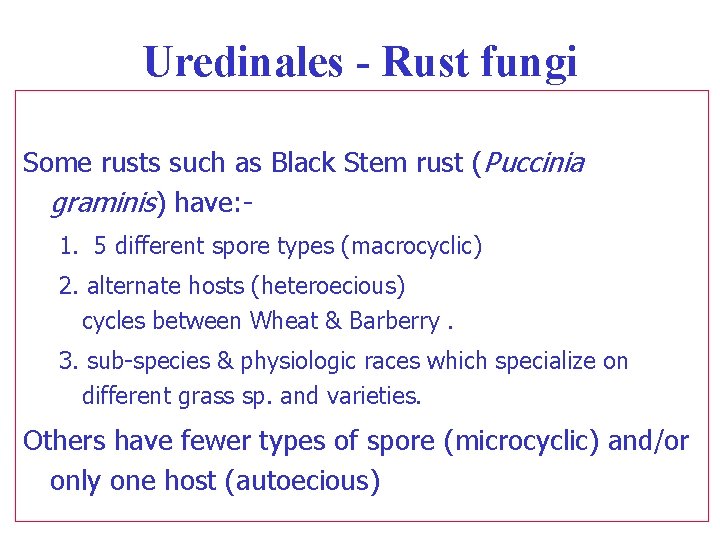 Uredinales - Rust fungi Some rusts such as Black Stem rust (Puccinia graminis) have: