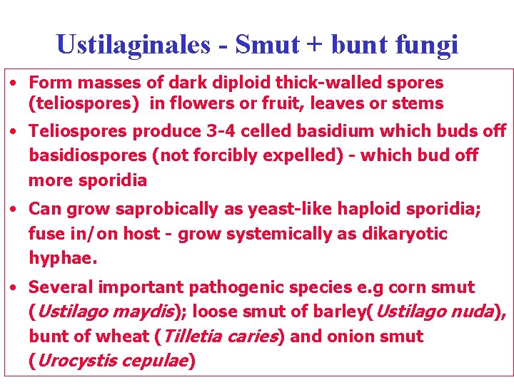Ustilaginales - Smut + bunt fungi • Form masses of dark diploid thick-walled spores