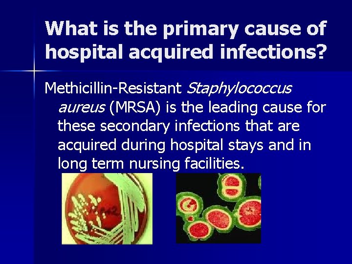 What is the primary cause of hospital acquired infections? Methicillin-Resistant Staphylococcus aureus (MRSA) is