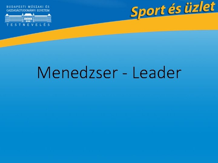 Menedzser - Leader 