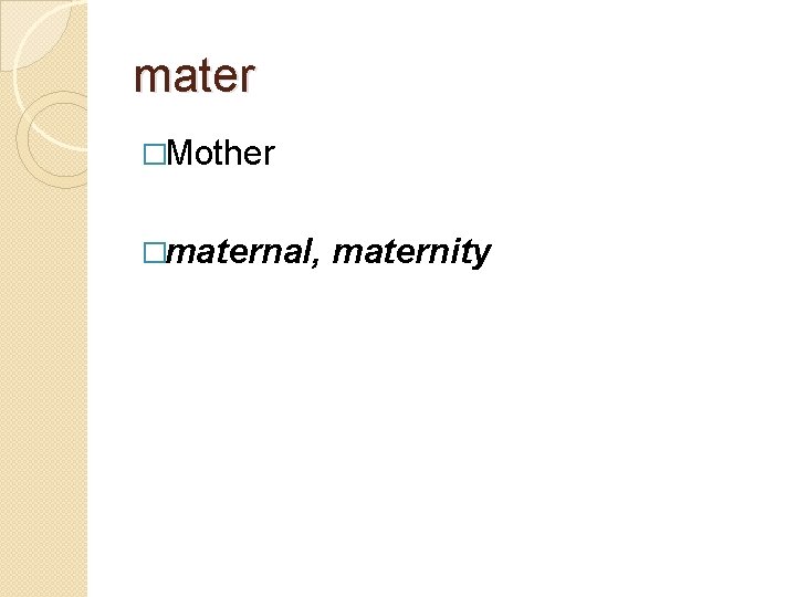 mater �Mother �maternal, maternity 