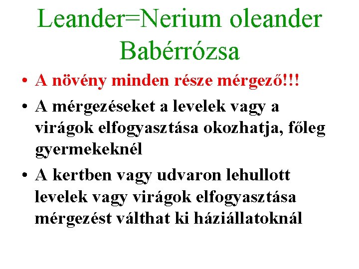 Leander=Nerium oleander Babérrózsa • A növény minden része mérgező!!! • A mérgezéseket a levelek