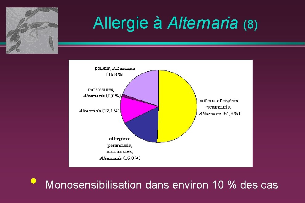  Allergie à Alternaria (8) • Monosensibilisation dans environ 10 % des cas 