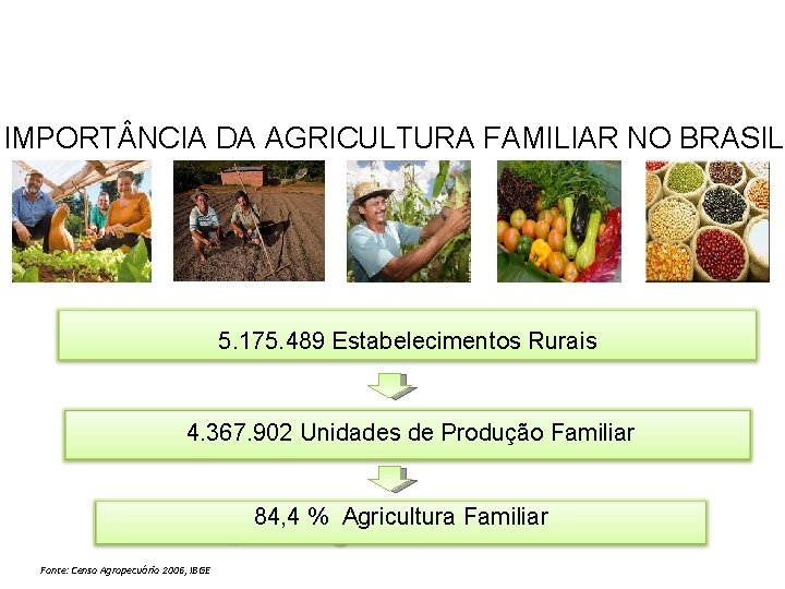 IMPORT NCIA DA AGRICULTURA FAMILIAR NO BRASIL 5. 175. 489 Estabelecimentos Rurais 4. 367.