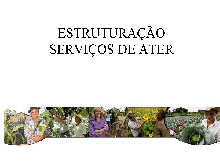 ESTRUTURAÇÃO SERVIÇOS DE ATER 