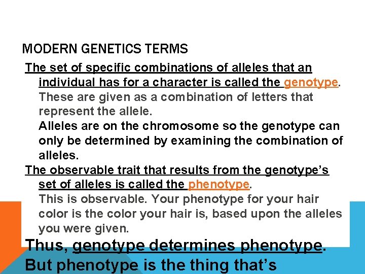 MODERN GENETICS TERMS The set of specific combinations of alleles that an individual has