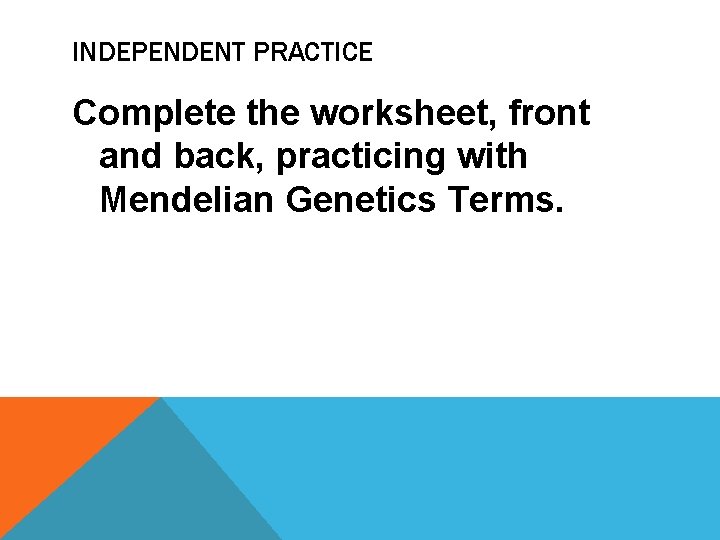INDEPENDENT PRACTICE Complete the worksheet, front and back, practicing with Mendelian Genetics Terms. 