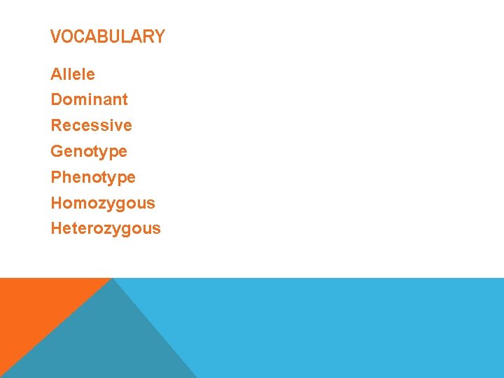 VOCABULARY Allele Dominant Recessive Genotype Phenotype Homozygous Heterozygous 