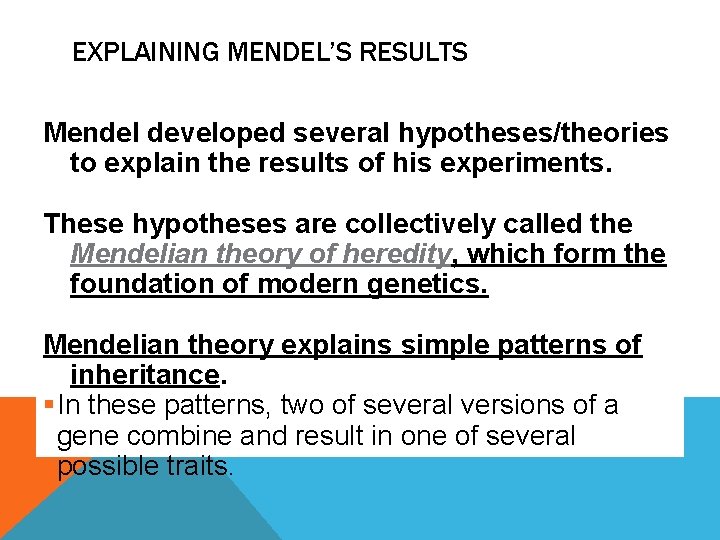 EXPLAINING MENDEL’S RESULTS Mendel developed several hypotheses/theories to explain the results of his experiments.