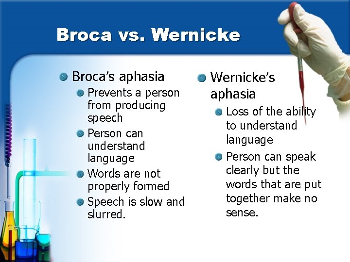 Broca vs. Wernicke Broca’s aphasia Prevents a person from producing speech Person can understand