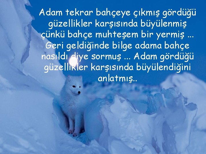 Adam tekrar bahçeye çıkmış gördüğü güzellikler karşısında büyülenmiş çünkü bahçe muhteşem bir yermiş. .