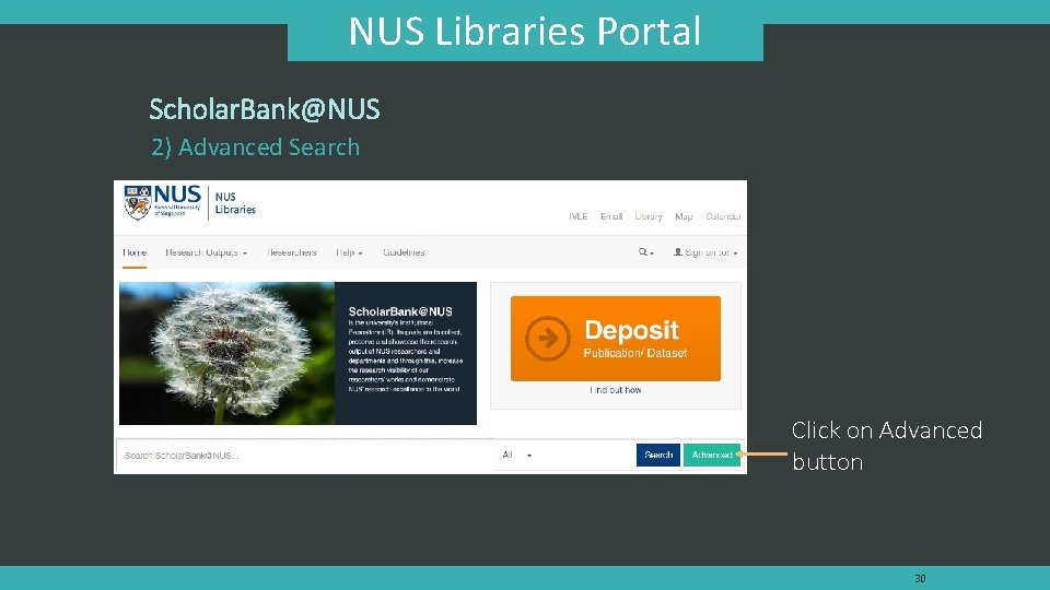 NUS Libraries Portal Scholar. Bank@NUS 2) Advanced Search Click on Advanced button 30 