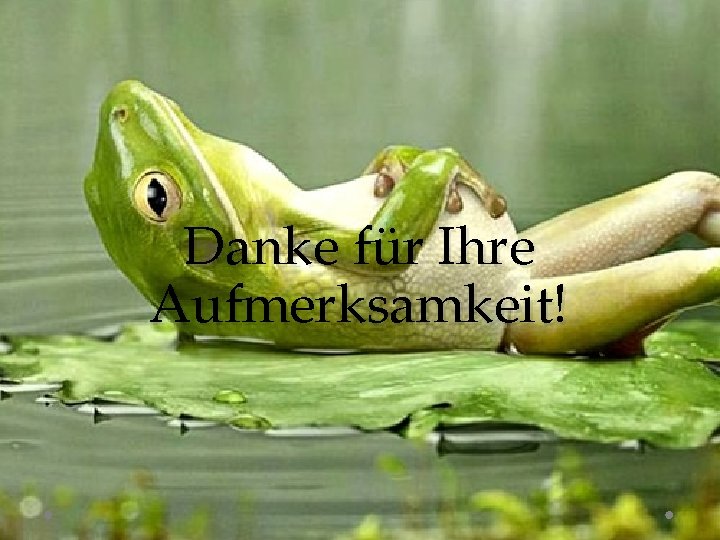 Danke für Ihre Aufmerksamkeit! 