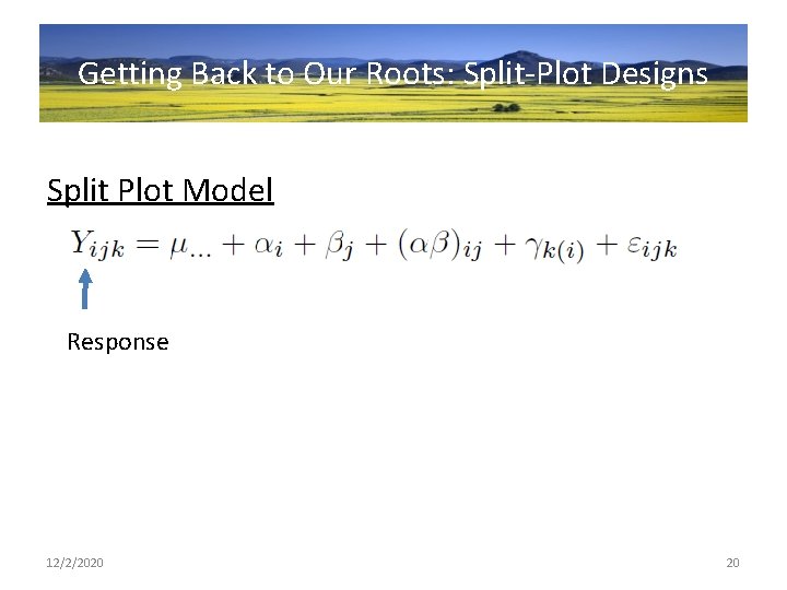 Getting Back to Our Roots: Split-Plot Designs Split Plot Model Response 12/2/2020 20 