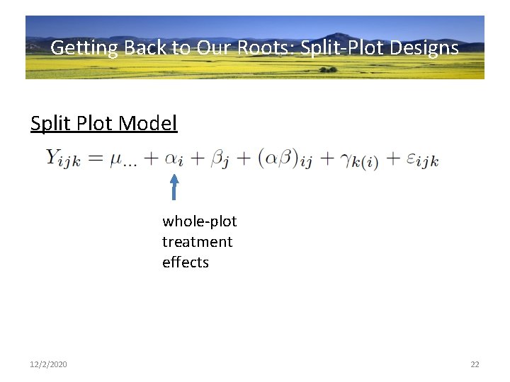 Getting Back to Our Roots: Split-Plot Designs Split Plot Model whole-plot treatment effects 12/2/2020