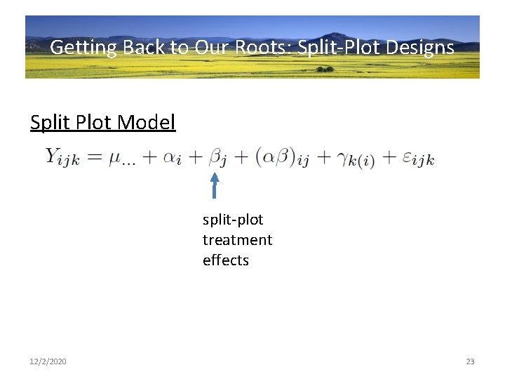 Getting Back to Our Roots: Split-Plot Designs Split Plot Model split-plot treatment effects 12/2/2020