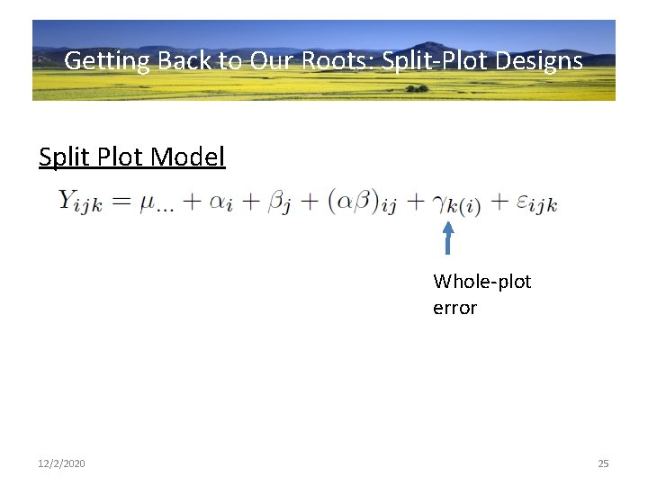 Getting Back to Our Roots: Split-Plot Designs Split Plot Model Whole-plot error 12/2/2020 25