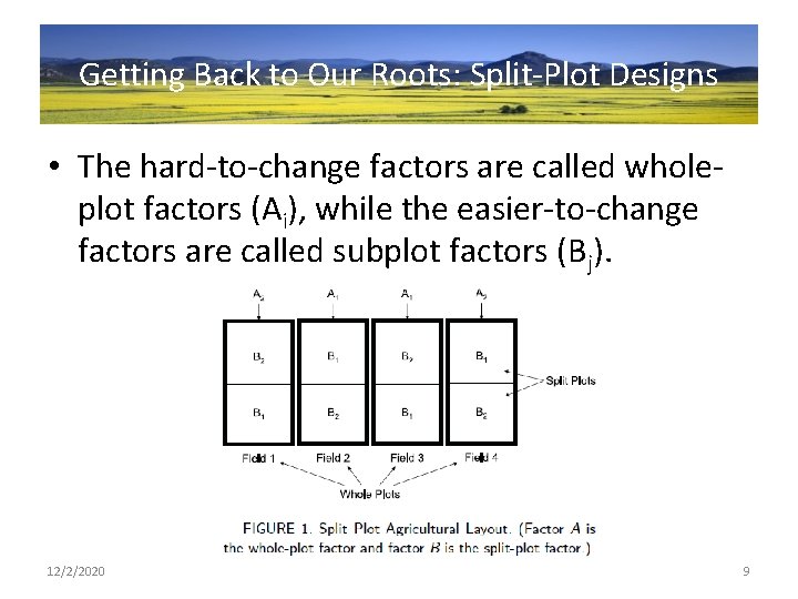 Getting Back to Our Roots: Split-Plot Designs • The hard-to-change factors are called wholeplot