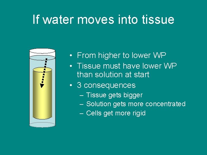 If water moves into tissue • From higher to lower WP • Tissue must