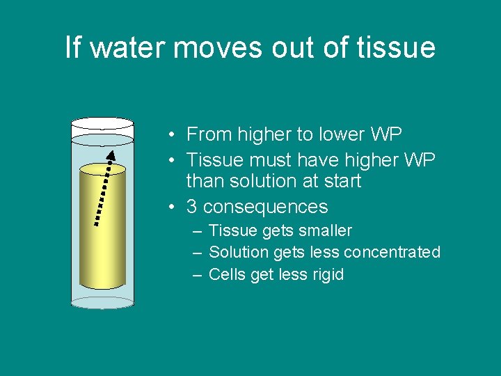 If water moves out of tissue • From higher to lower WP • Tissue