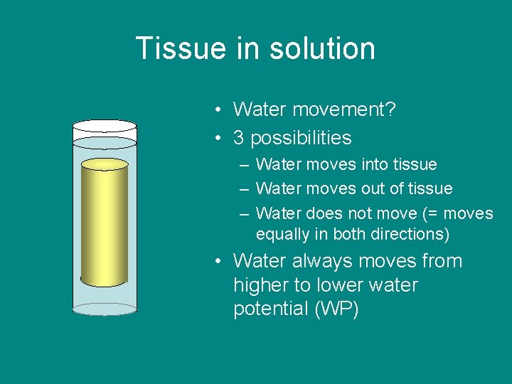 Tissue in solution • Water movement? • 3 possibilities – Water moves into tissue
