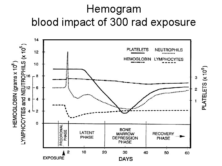 Hemogram blood impact of 300 rad exposure 