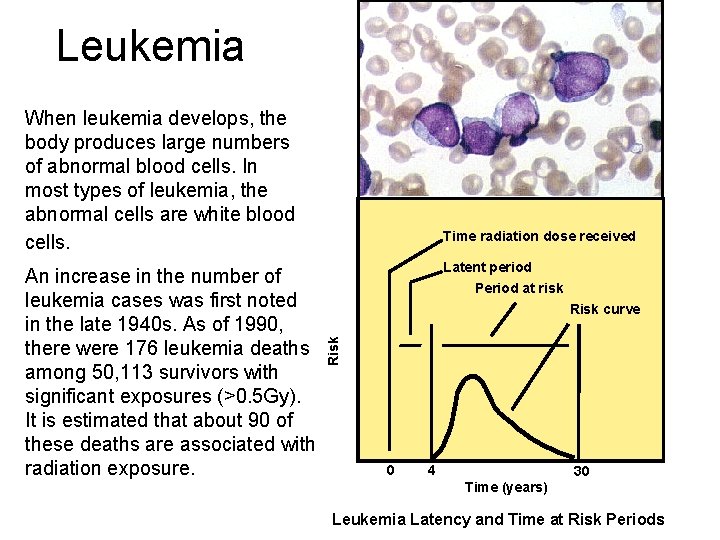 Leukemia When leukemia develops, the body produces large numbers of abnormal blood cells. In